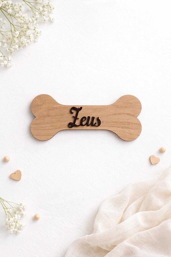 Oak Dog Bone Name, Stylish decor